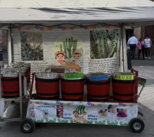Nieves artesanales caleb