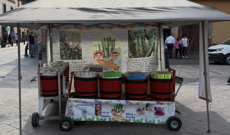 Nieves artesanales caleb